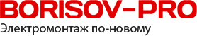 Borisov-Pro